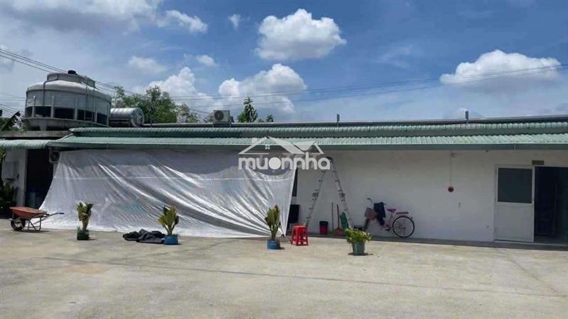 Xưởng phú an 2400m giá 50tr