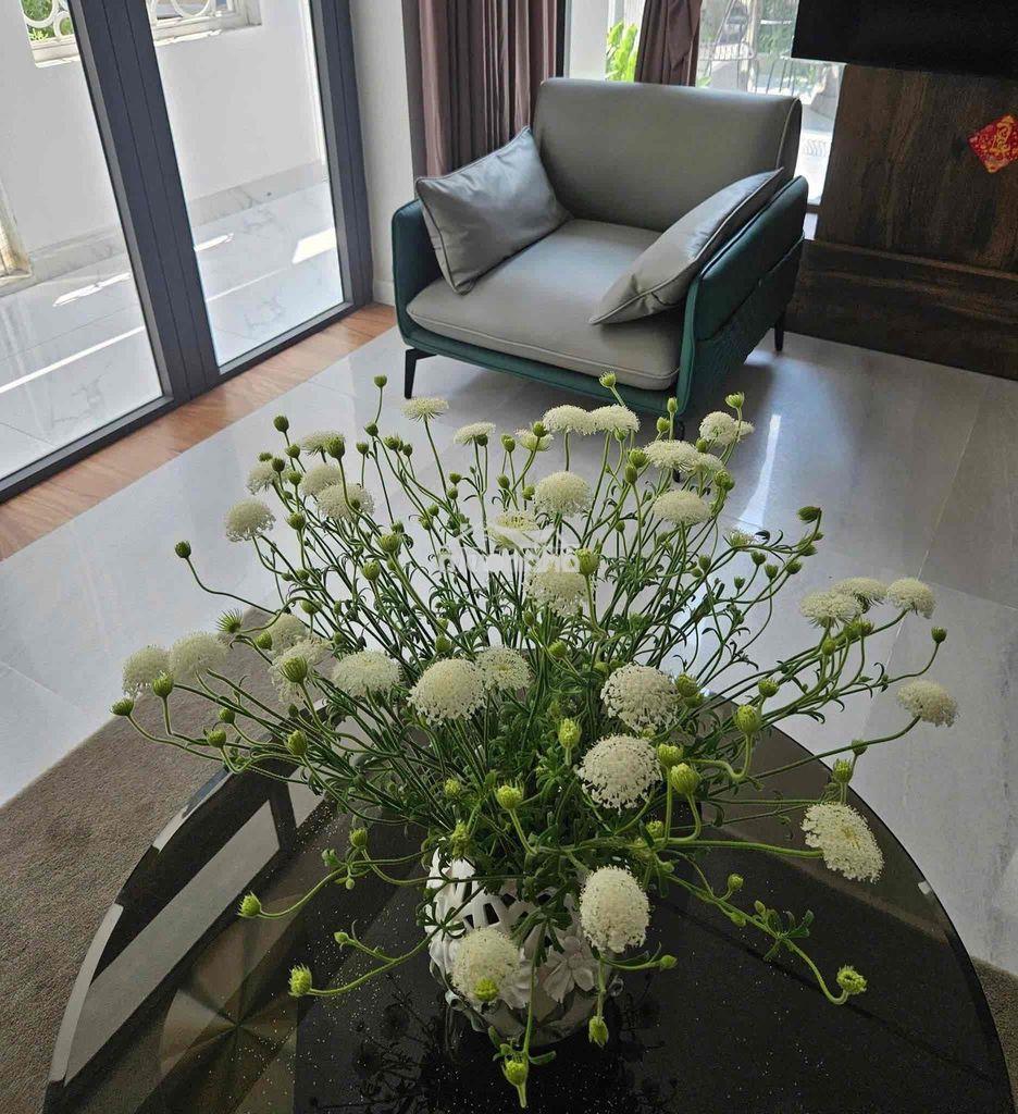 Cho thuê villa đẹp 3 tầng 3 pn mặt tiền đỗ nhuận, hoà minh, liên chiểu - 2