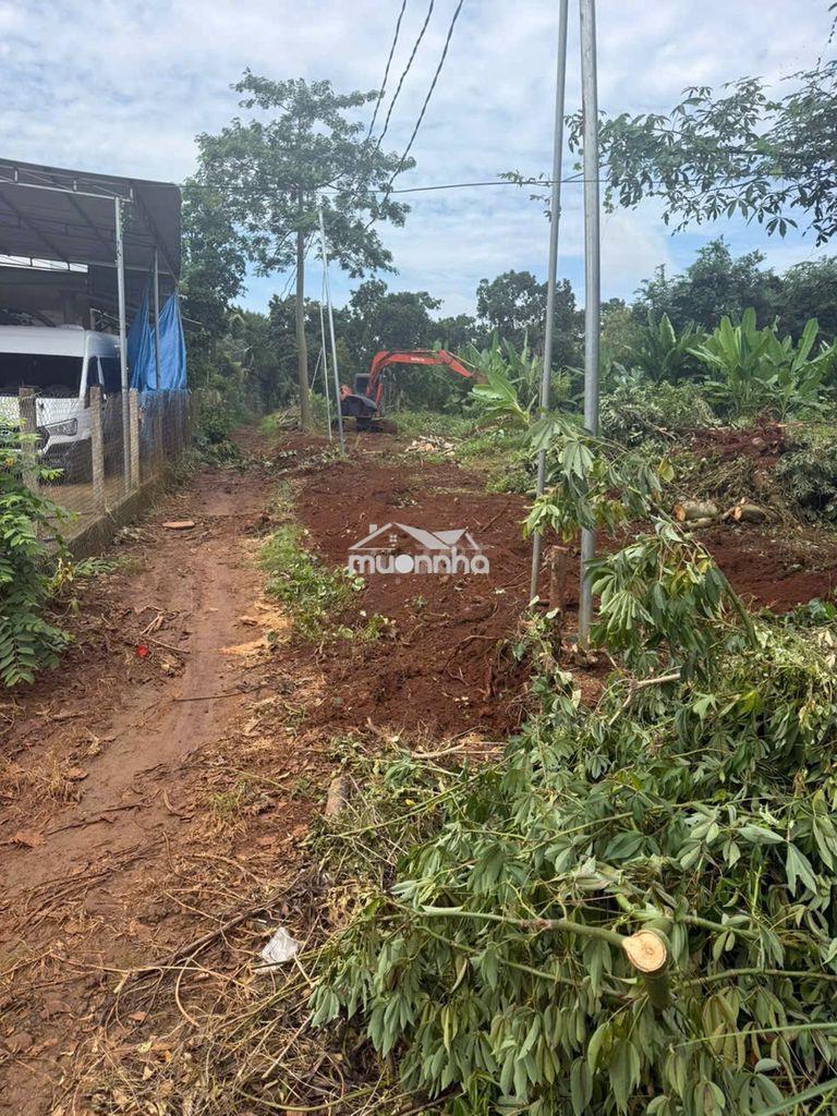 Cần bán lô đất cẩm mỹ đồng nai