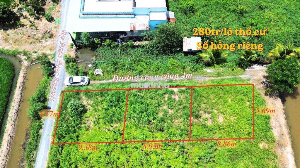 🌈 Đất thổ 280tr nhựt chánh, bến lức. đường 4m xe hơi - 3