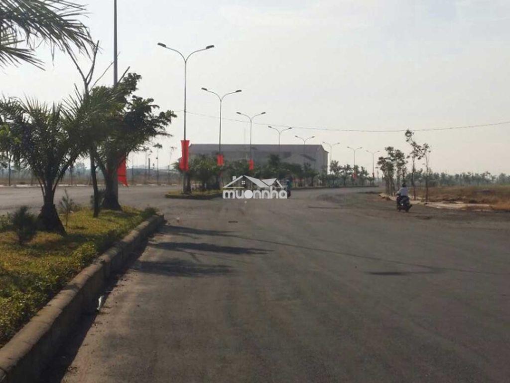 Giỏ hàng nổi bật với 1 số lô đất tại kđt long hưng đối diện aquacity - 4