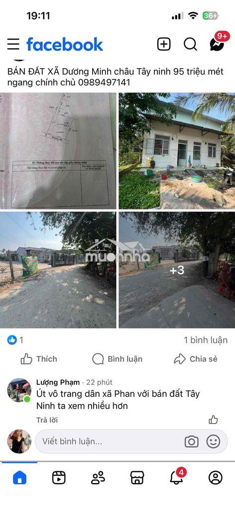 Bán đất chính chủ - 3