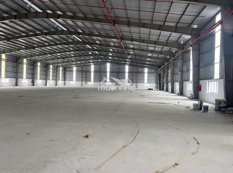 Chính chủ cho thuê nhà xưởng vĩnh phú thuận an dt: 1000m xe container