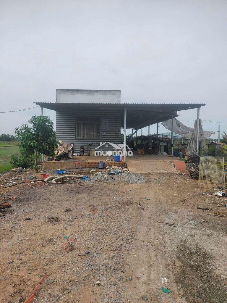 Gấp bán đất tặng nhà ngay bình chánh long an chỉ 1.6toi  - 2