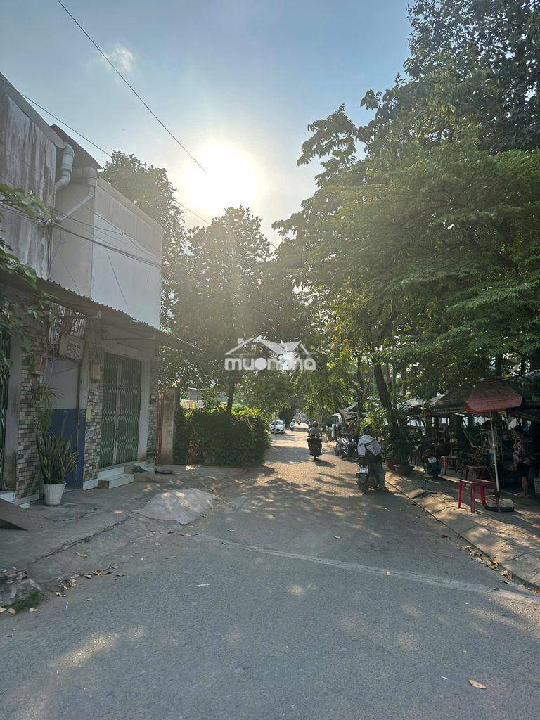 Mặt tiền đường số 8 – 156m² – ngay ql13 – có thể xây chdv – 7.3 tỷ - 2