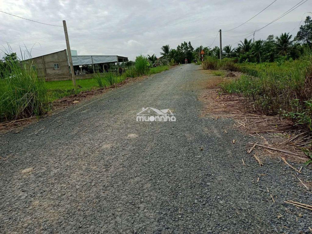 Bán đất chính chủ - Ảnh 2