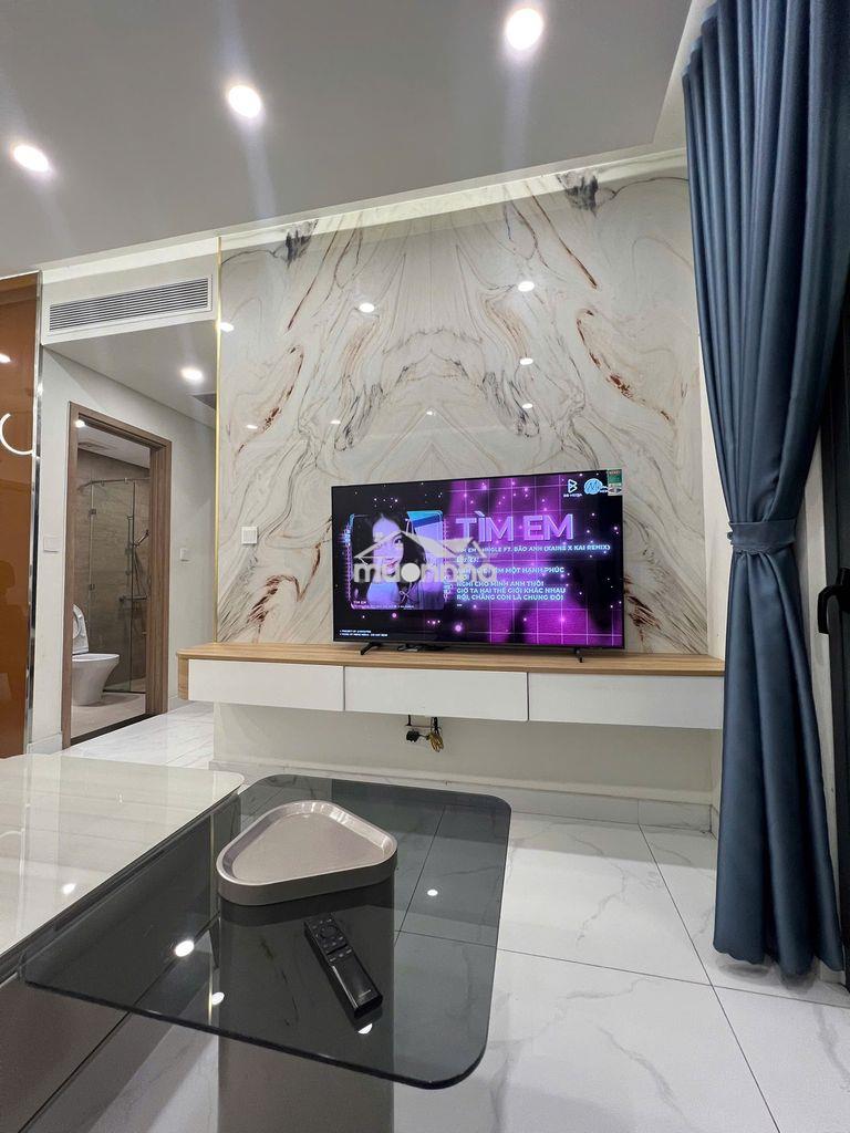 Thuê nhiều căn alnata,centery,emerald celadon city quận tân phú - Ảnh 3