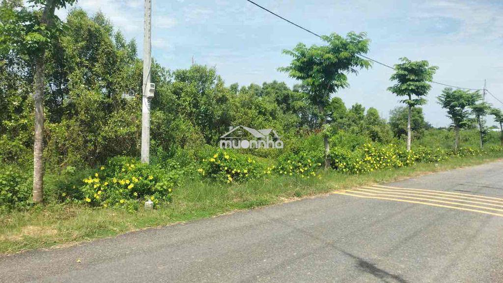 Đất gần trung tâm y tế thị xã giá rai - Ảnh 2