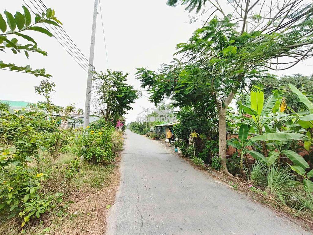 Bán đất mt đường hóc hưu, qui đức, bình chánh. 180m² đất cln, 1,4 tỷ - Ảnh 3