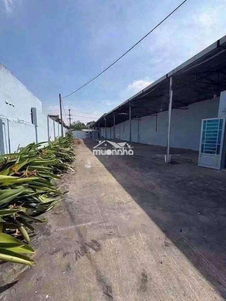 Cho thuê nhà xưởng 1900m2 giá thuê 95 triệu - Ảnh 2