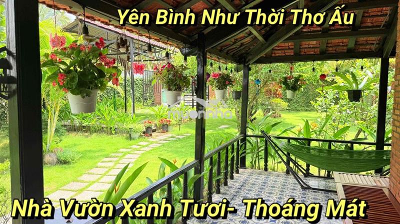 Nhà vườn trong khu đẹp hoài niệm