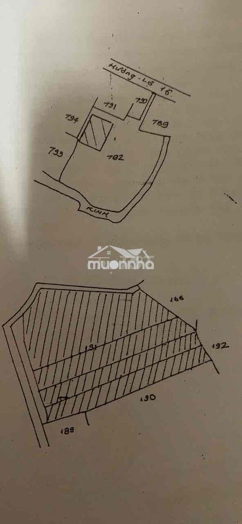 Toi càn bán nhà chính  hẻm rọng thoán mát cách duòng lón 1 can - Ảnh 4
