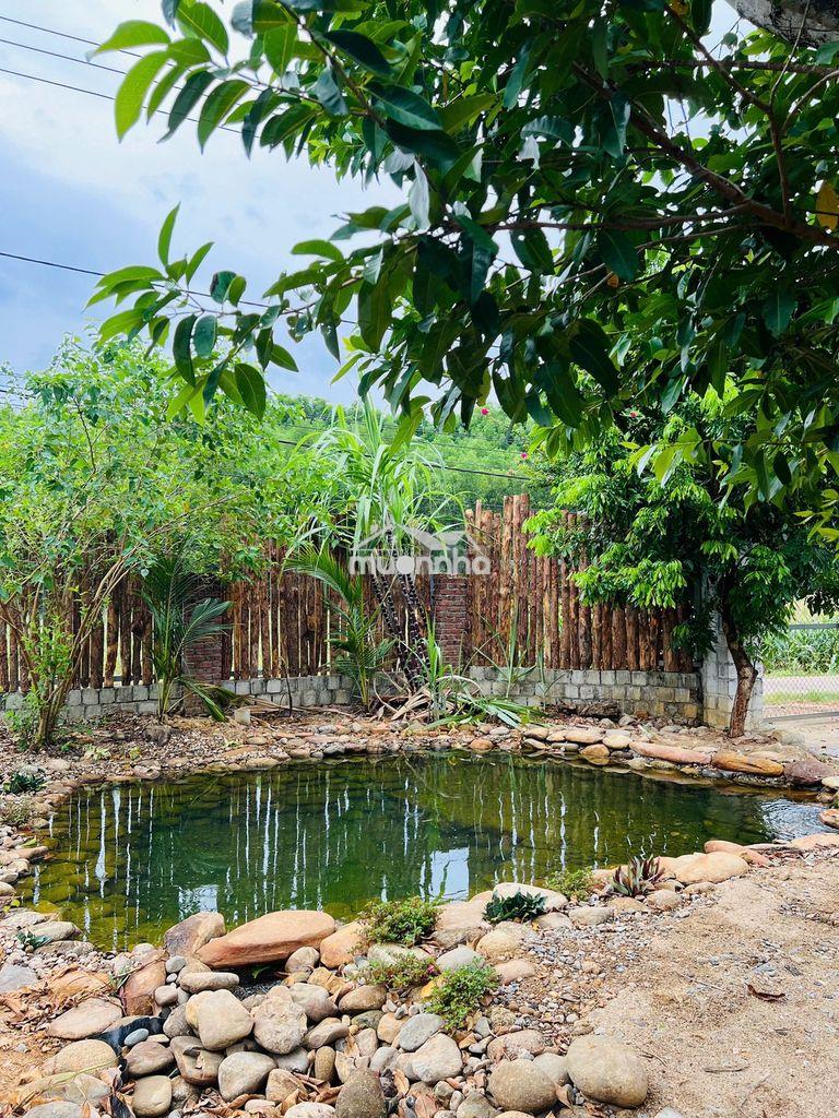 Cần bán căn nhà vườn tâm huyết tại thôn hoà phước, xã hoà phú - Ảnh 3