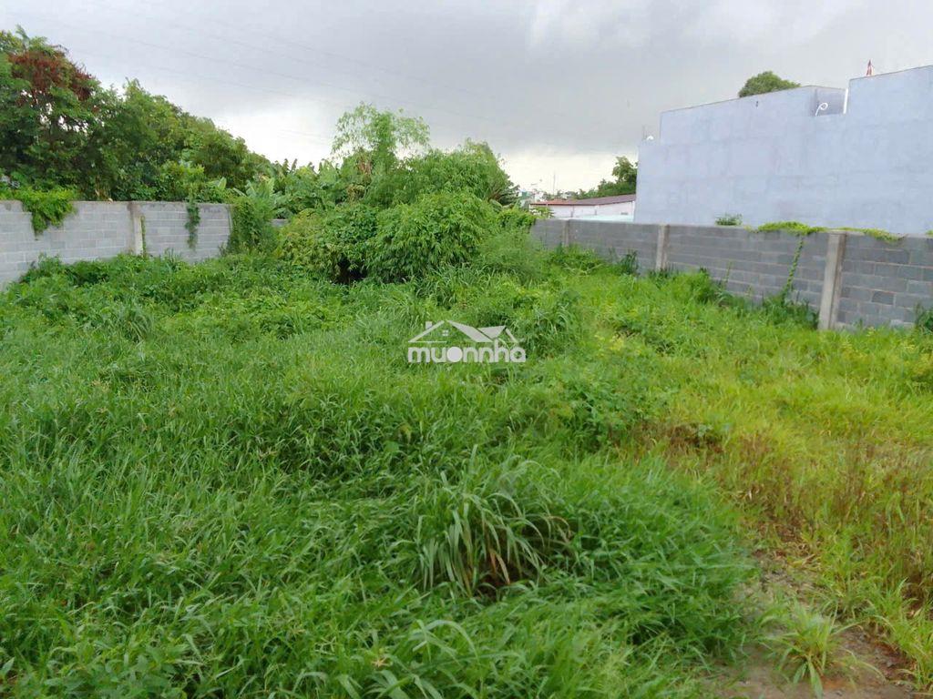 Bán đất 529m2 ở biên hòa, giá 3.3 tỷ, sổ  hồng riêng - Ảnh 4