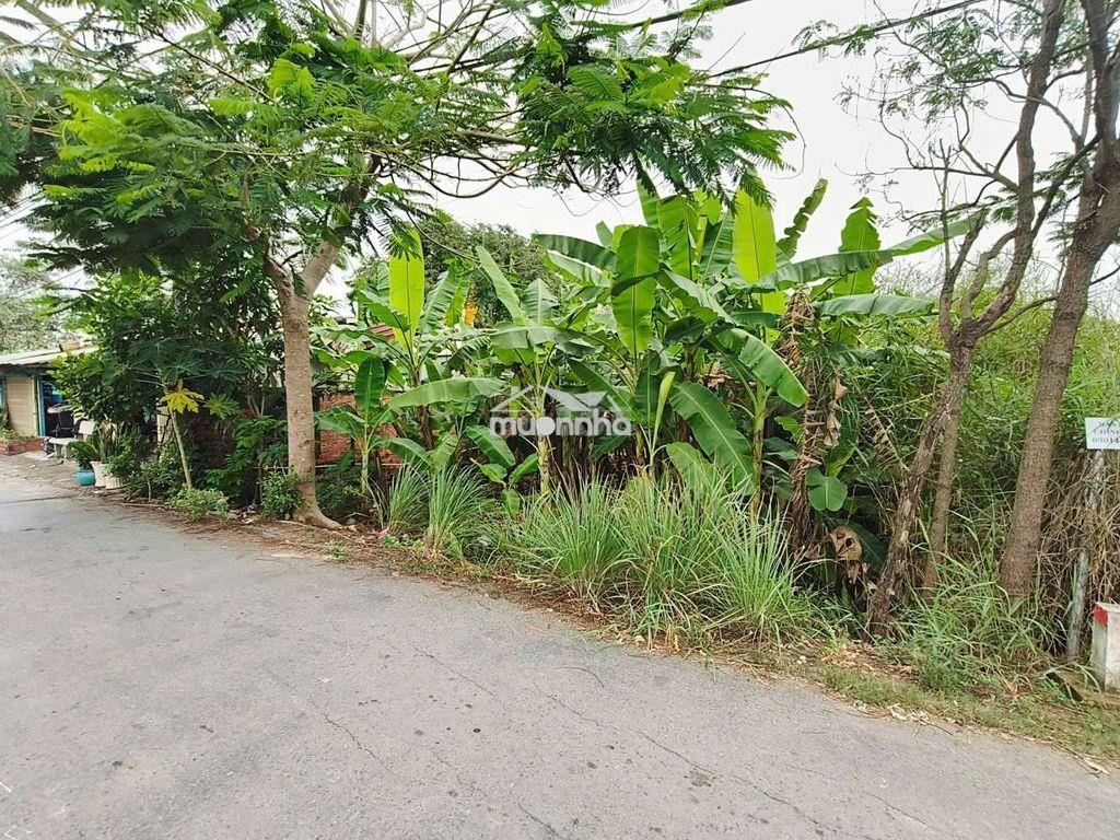 Bán đất mt đường hóc hưu, qui đức, bình chánh. 180m² đất cln, 1,4 tỷ - Ảnh 4