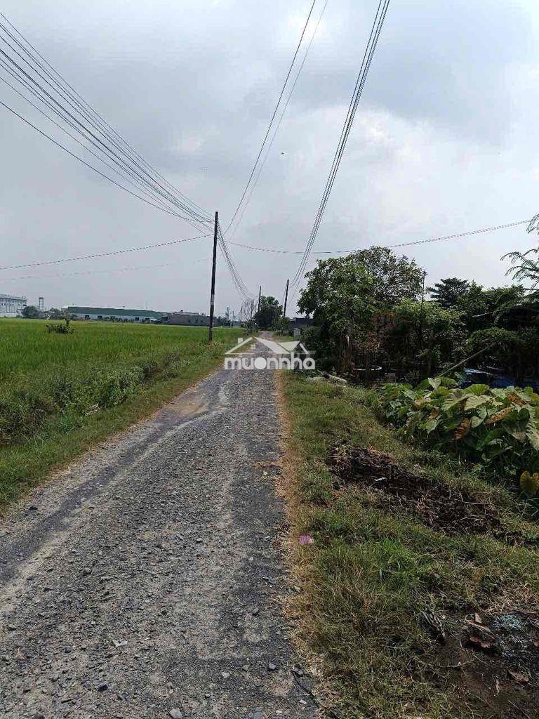Cần bán đất