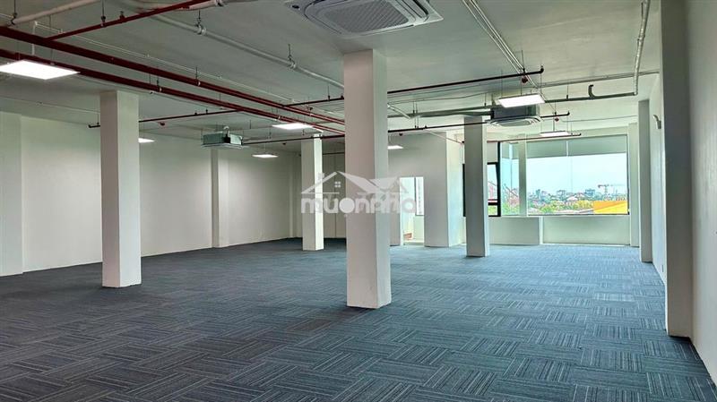 Ưu đãi 5% và miễn phí trải thảm  – thuê văn phòng đường 2/9