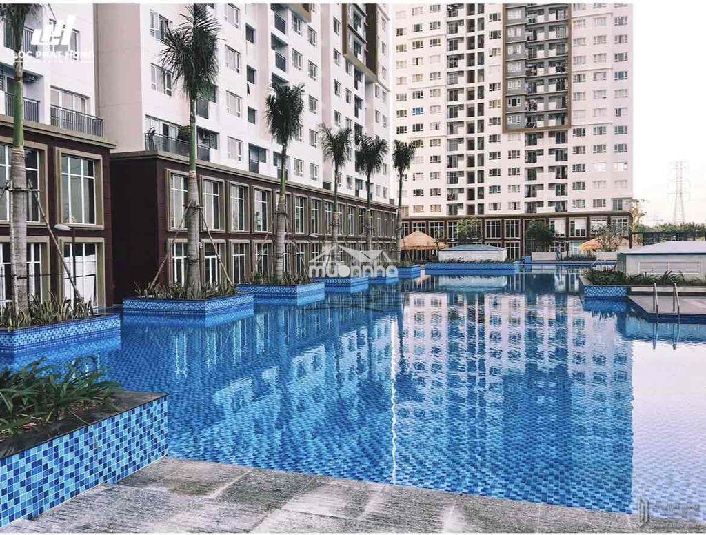 Bán căn 1pn giá chỉ 2.380t bao thuê phí , cam kết rẻ nhất thị trường - Ảnh 2