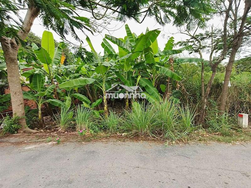 Bán đất mt đường hóc hưu, qui đức, bình chánh. 180m² đất cln, 1,4 tỷ