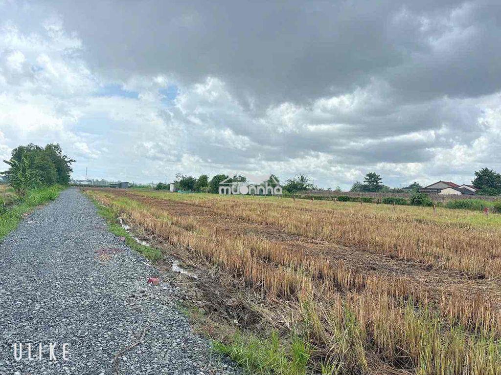 Xây nhà vườn quá đẹp - 3