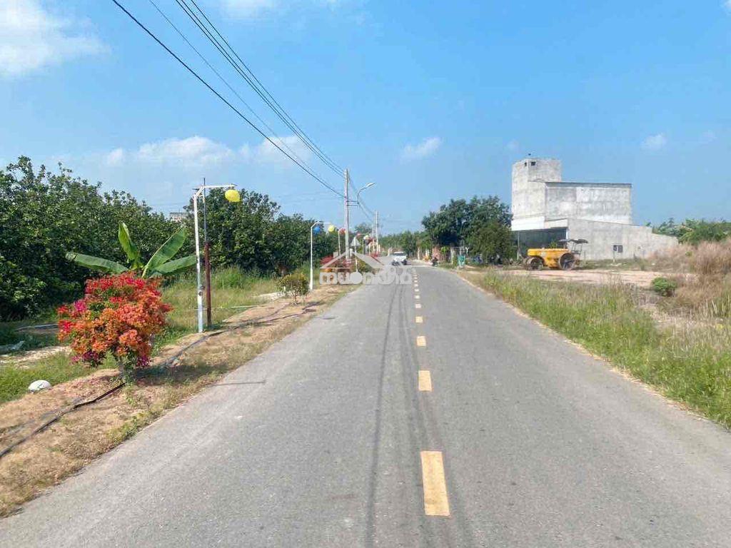 Đất vườn cây trái đang tốt bán nhanh - Ảnh 4