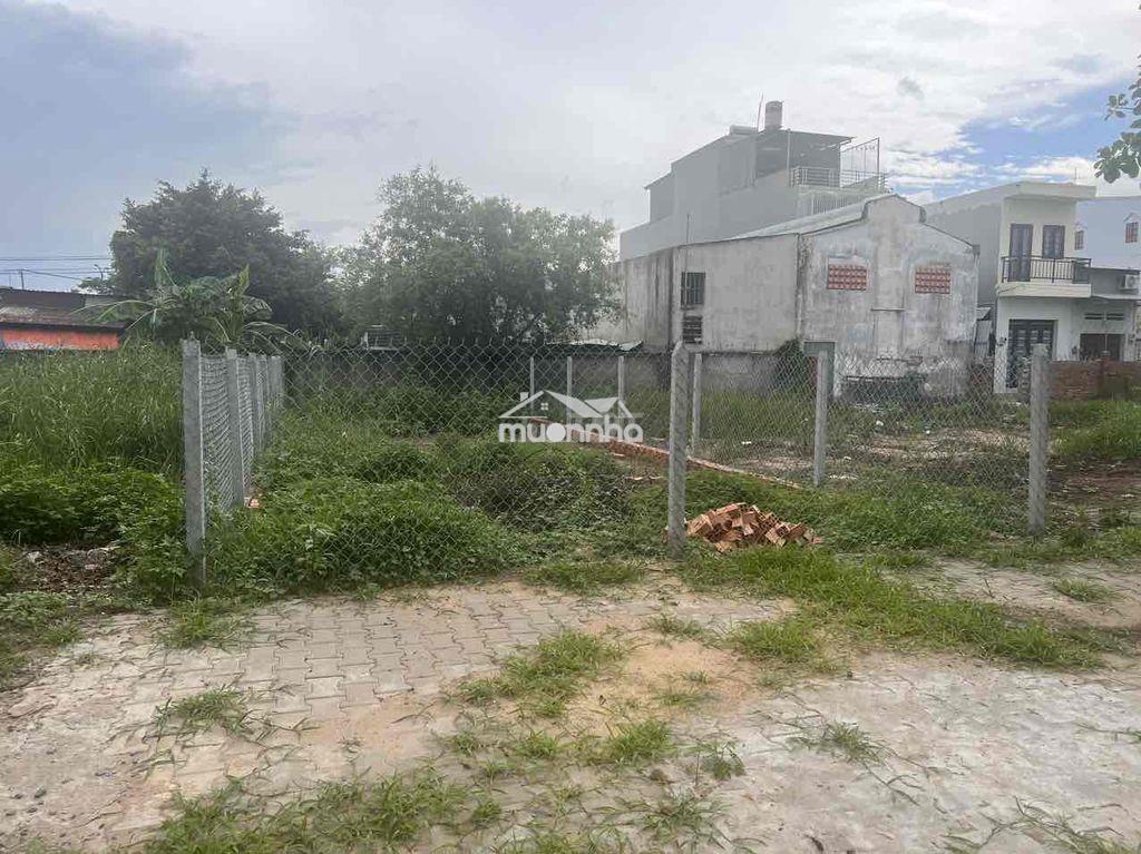Đất góc đầu tư - khu dân cư phạm văn hai - Ảnh 2