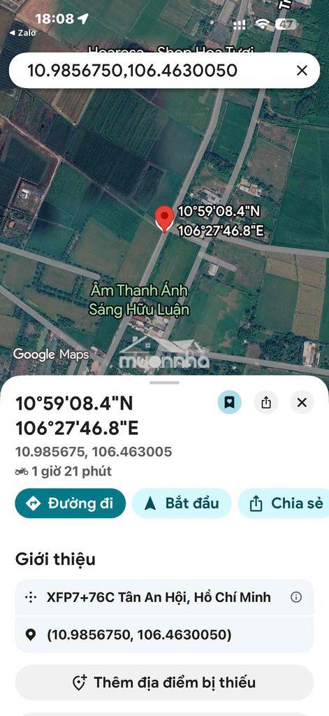 Đất đẹp củ chi (chính chủ) - Ảnh 4
