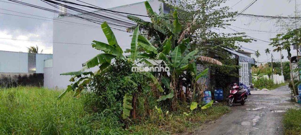 Chính chủ cần bán gấp mảnh đất - Ảnh 2