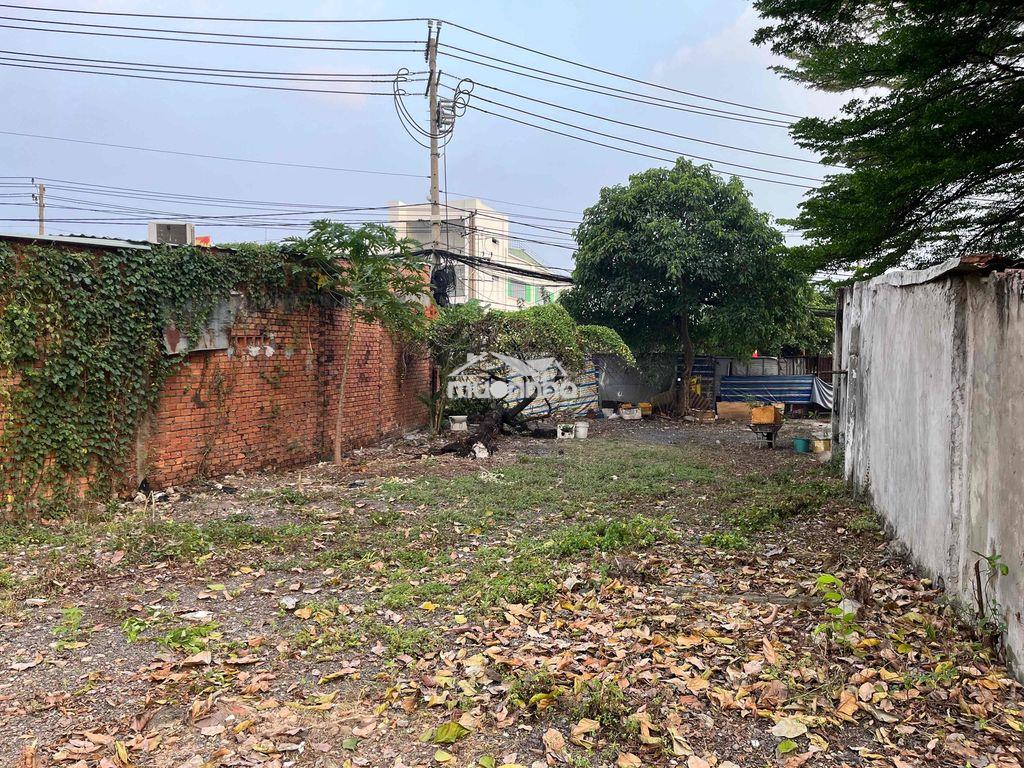 📌📌Bán - chothu.ê đất chính chủ mặt tiền ql13 hiệp bình (hiệp bình phướ - Ảnh 3