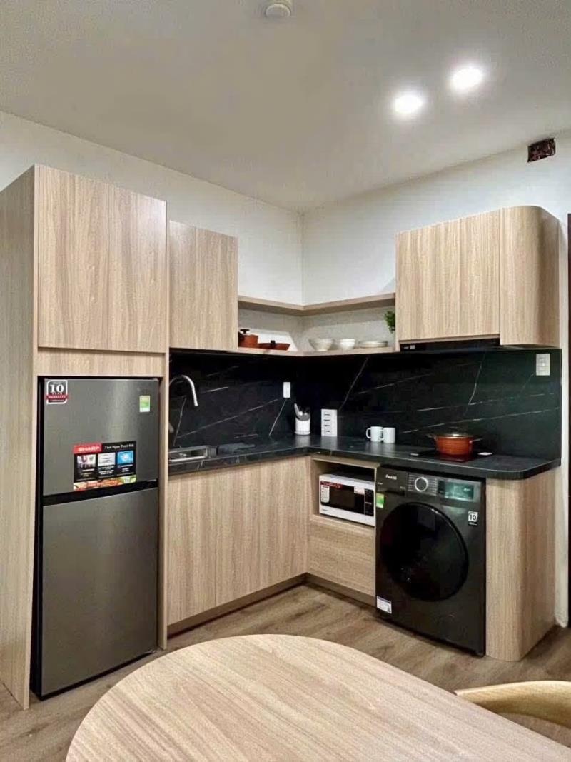 Cho thuê căn hộ 1 phòng ngủ ngay quận 7 , nội thất đầy đủ. - Ảnh 3