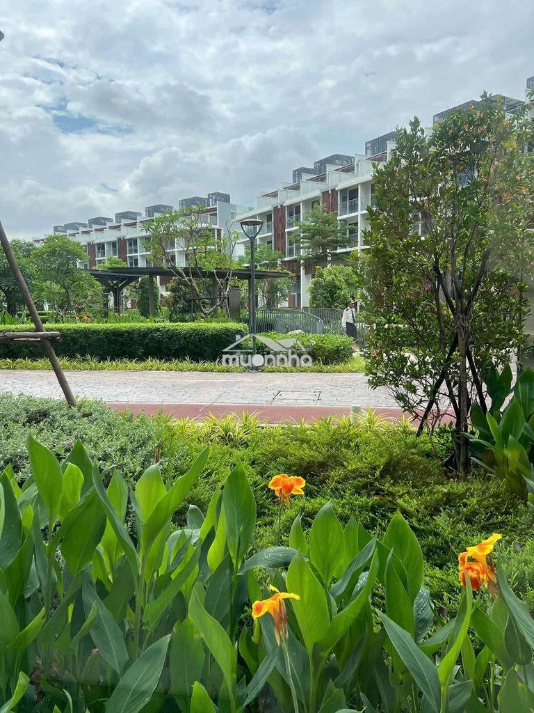 Cho thuê 96m2 diamond brilliant tại celadon city tân phú