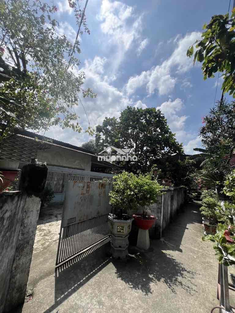 Bán nhà và đất - Ảnh 3