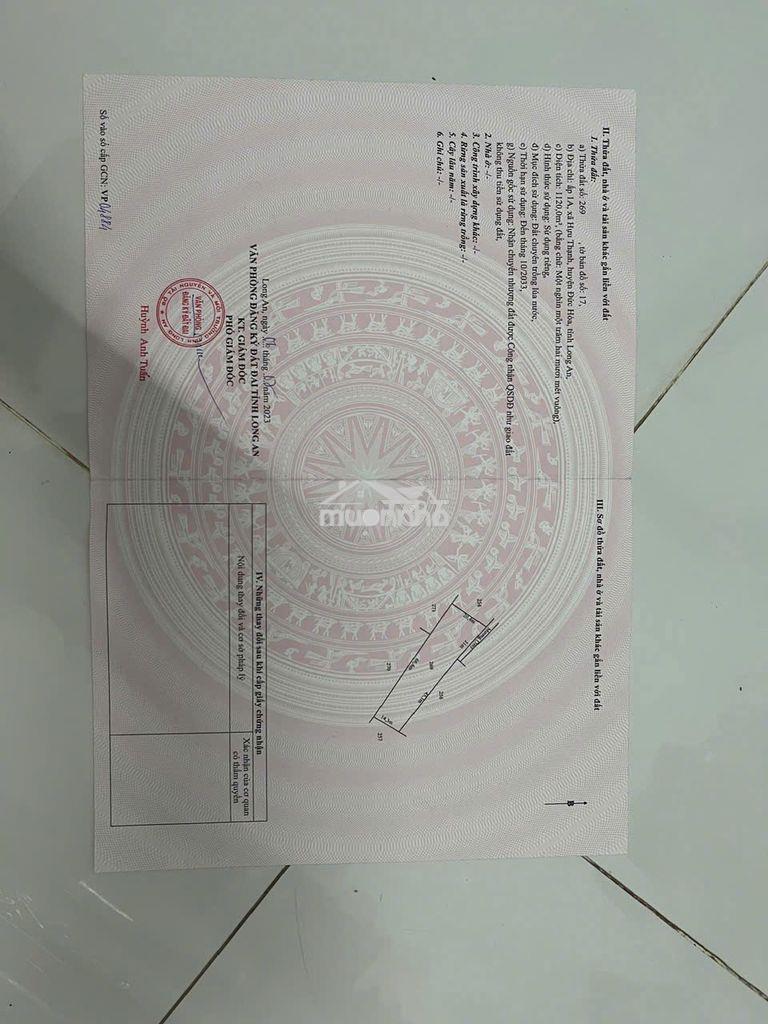 Hơn 1000mv chỉ 600tr tại đức hòa long an - Ảnh 3