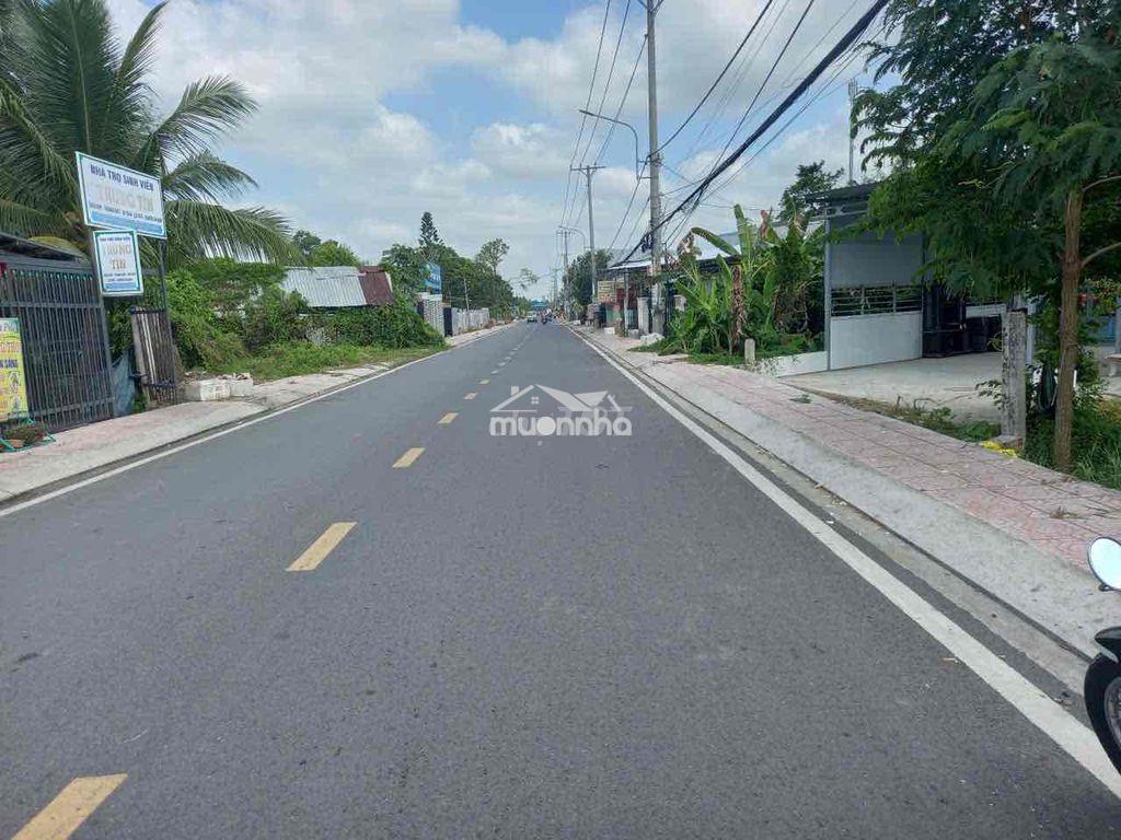 Cầm bán gấp nhà và đất lộ 10m bông vang trường tiền - Ảnh 3