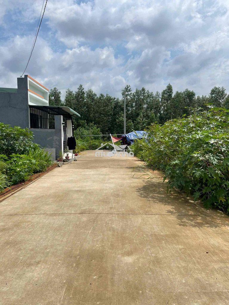Cần ra gấp lô đất 1ty1 gần chợ thạnh phú 80m2 - Ảnh 2