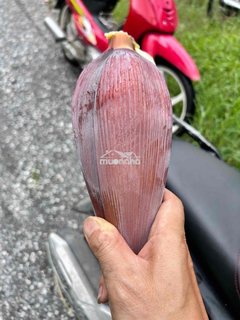 Bán biệt thự lideco hoài đức hà nôi