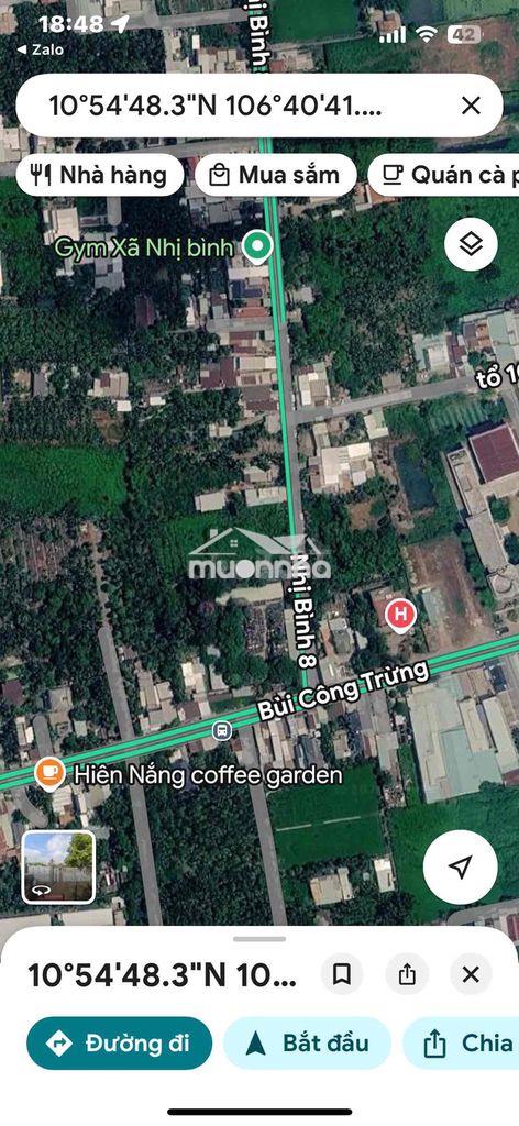 Mt nhị bình 700m2 bùi công trừng 5,5tr/m2 - Ảnh 2