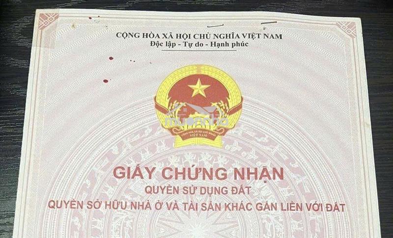 Bán đất