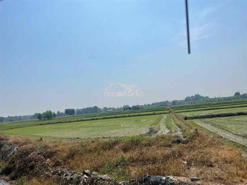 Ngộp ngân hàng xả rẽ
