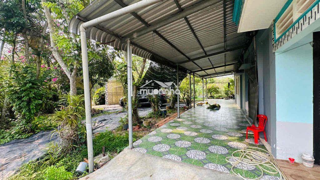🌿 Giảm 1 tỷ- bán nhà vườn củ chi–không gian xanh, yên tĩnh, thoáng mát - Ảnh 4