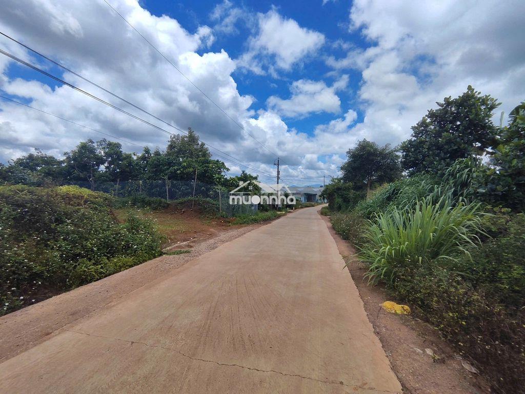 Bán đất nông nghiệp gần 2.000m² – lộc đức cũ, bảo lâm 2, lâm đồng - Ảnh 3