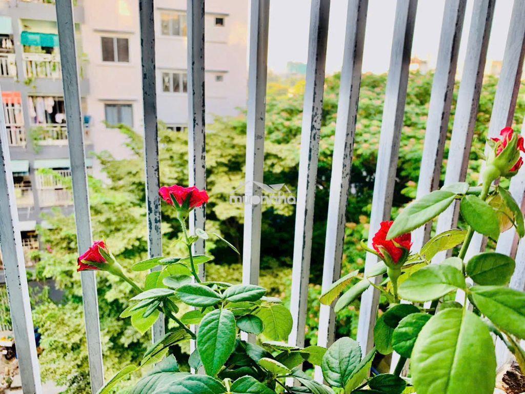 🏠 Chính chủ bán chung cư trung tâm sơn trà – 2,5 tỷ - 2
