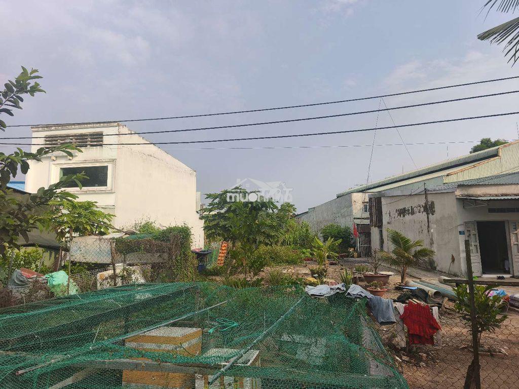 Bán gấp đất mặt tiền đường mai bá hương 1000m có 800m thổ cư - Ảnh 2