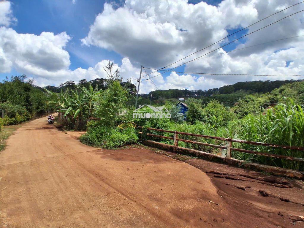 Bán đất vườn café view suối , p xuân trường – đl (sổ hồng chính chủ ) - Ảnh 2