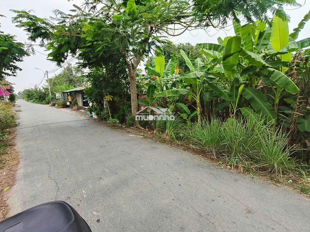 Bán đất mt đường hóc hưu, qui đức, bình chánh. 180m² đất cln, 1,4 tỷ - Ảnh 2