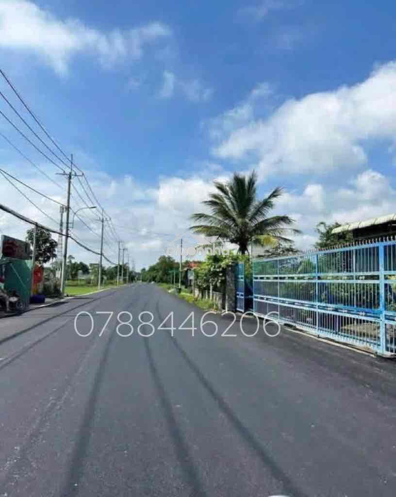 Chủ về quê để lại nhà vườn - Ảnh 4