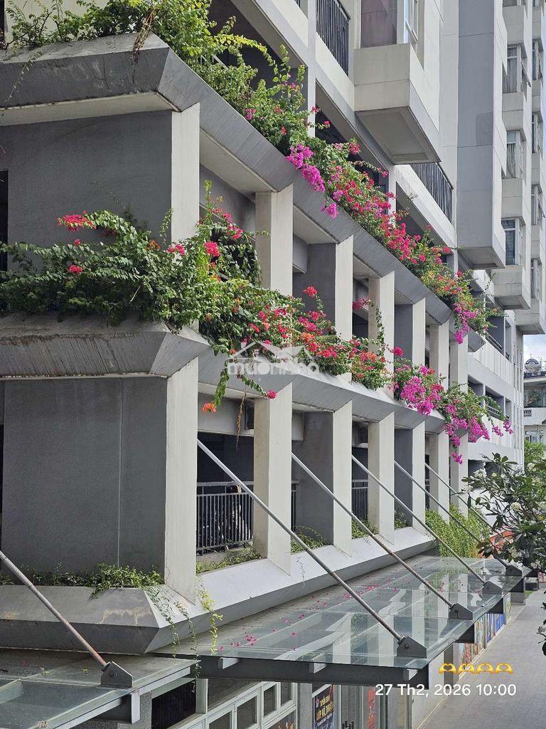 💥Ch himlam phú đông bán gấp.
giá: 3.2 tỉ thương lượng trực tiếp chủ - Ảnh 2