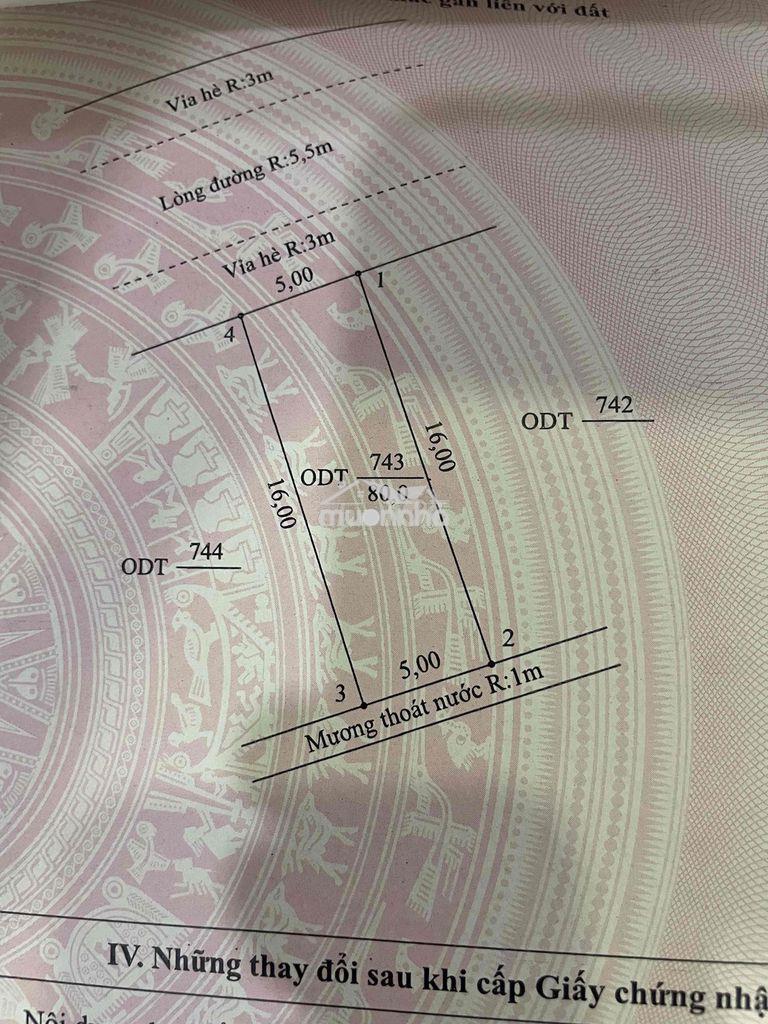 Đất khu đô thị viêm minh hà dừa