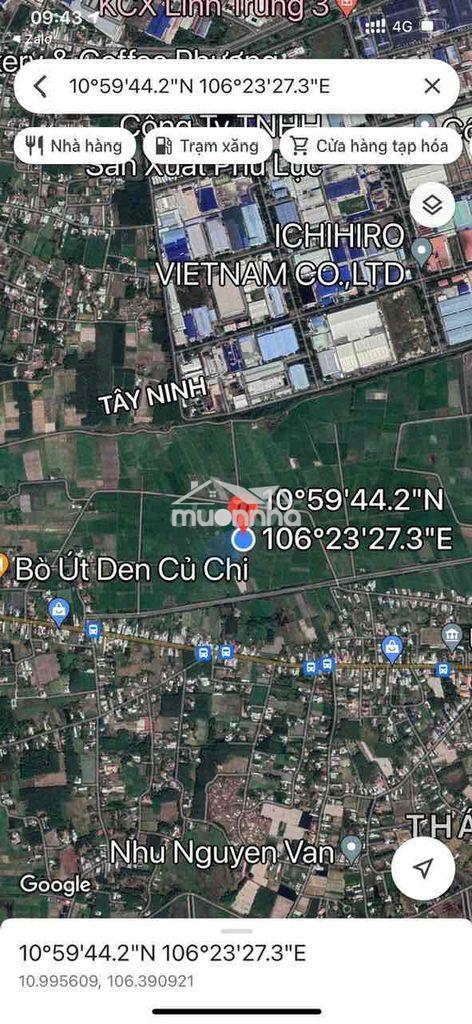 Bán đất nông nghiệp phường thái mỹ, củ chi, tp. hồ chí minh - Ảnh 3