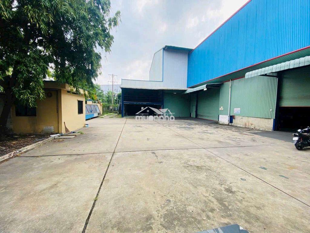 Cần cho thuê nhà kho gần vsip 1. dt: 600m giá: 40tr, có xuất vat  - 3